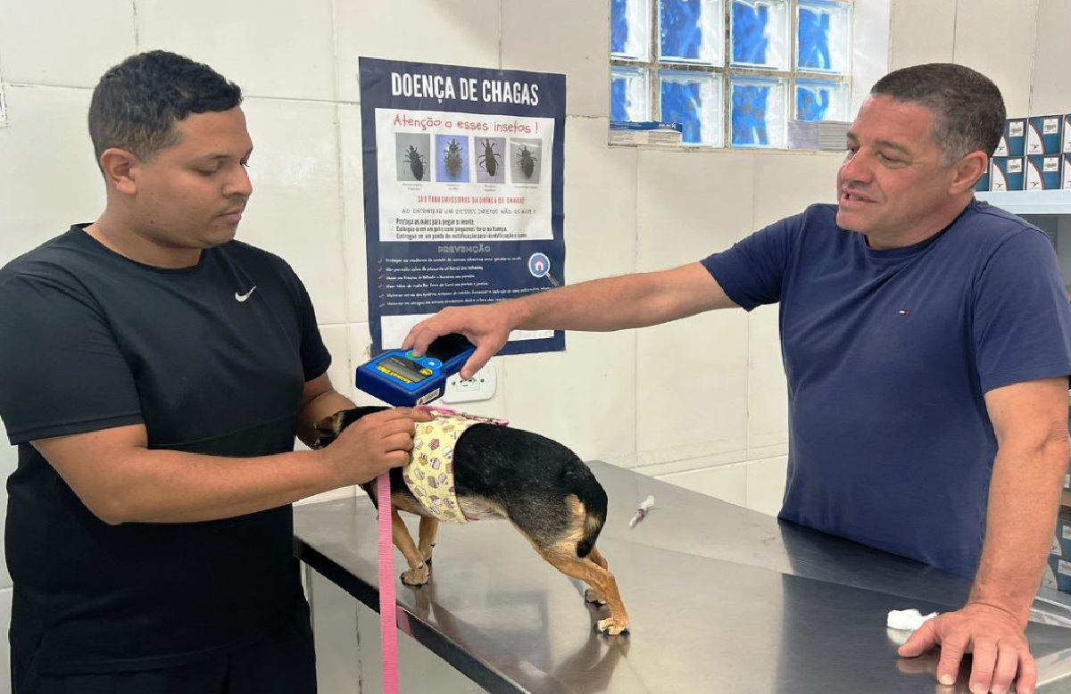 ccz-de-caraguatatuba-abre-agendamento-para-castracao-de-pets