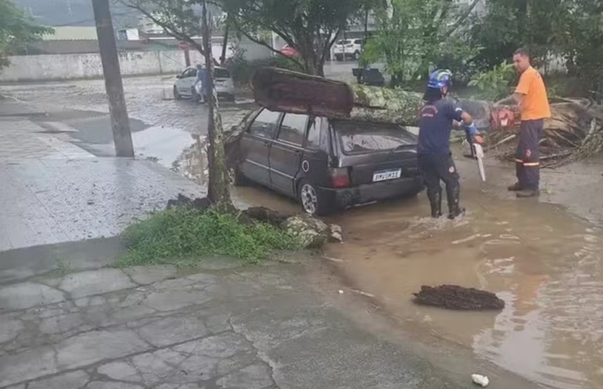 temporal-causa-alagamentos-quedas-de-arvores-e-deixa-feridos-no-vale-do-paraiba-e-litoral-norte