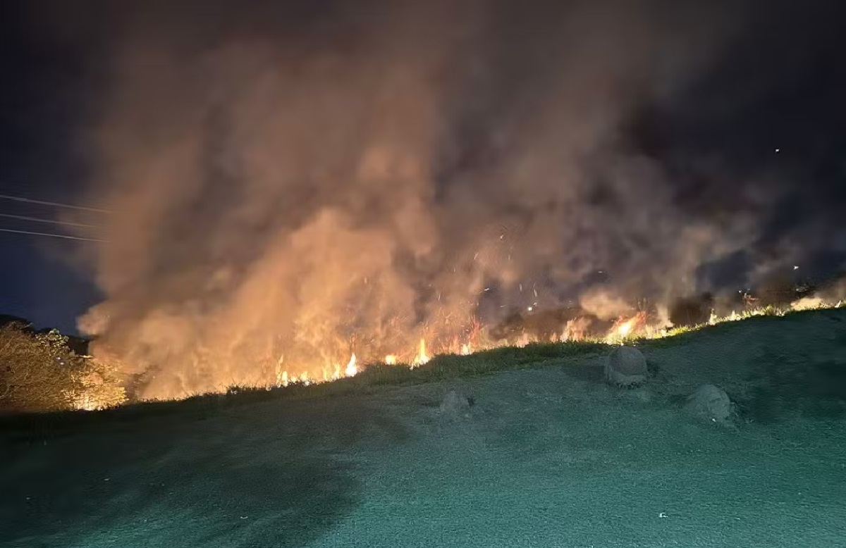 fogo-atinge-area-de-mata-no-urbanova-e-mobiliza-bombeiros-em-sao-jose