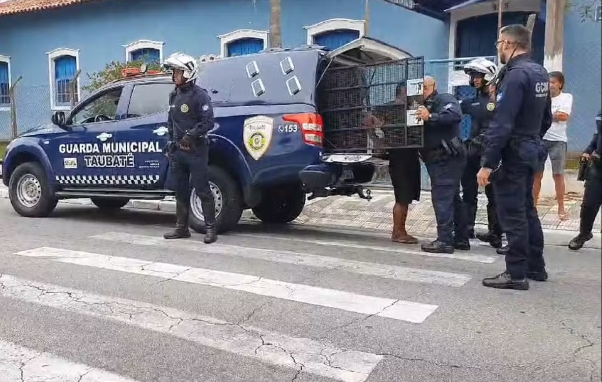 homem-e-preso-em-flagrante-por-furto-de-fiacao-eletrica-em-museu-de-taubate
