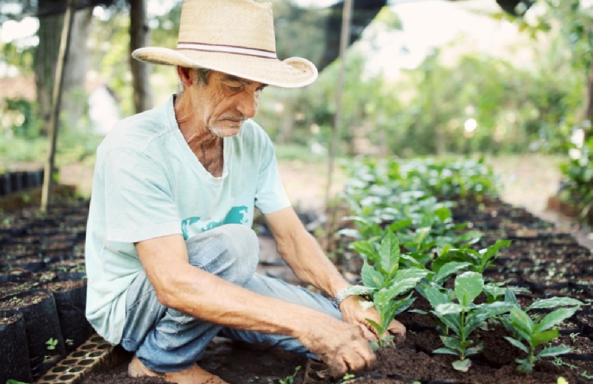 ilhabela-sedia-evento-pioneiro-sobre-exportacao-sustentavel-de-cafe