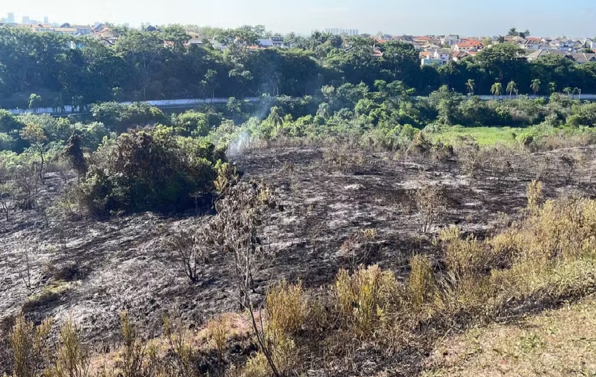 incendio-em-area-de-mata-no-urbanova-destroi-o-equivalente-a-50-campos-de-futebol-e-e-alvo-de-investigacao