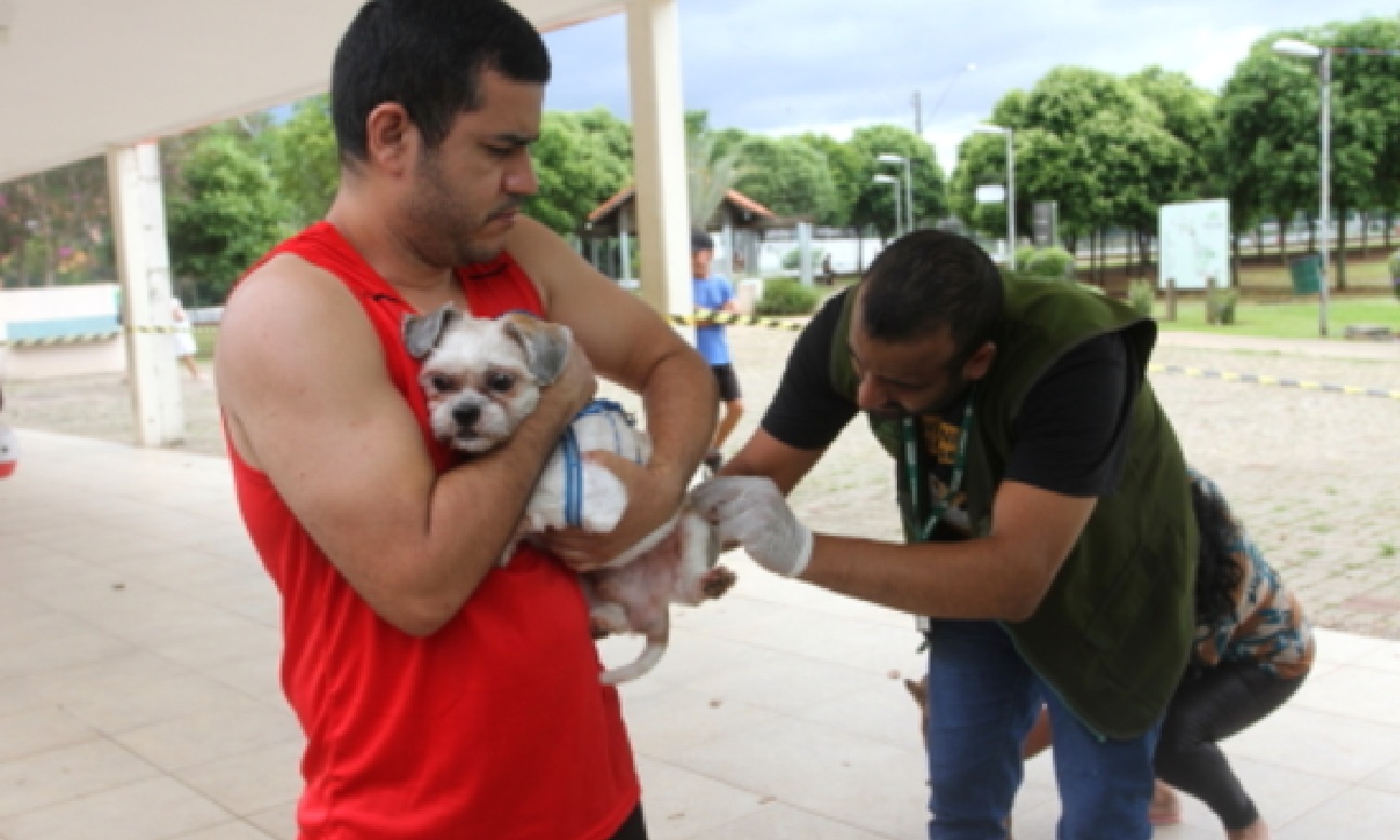 jacarei-promove-microchipagem-e-vacinacao-antirrabica-para-caes-e-gatos-neste-fim-de-semana