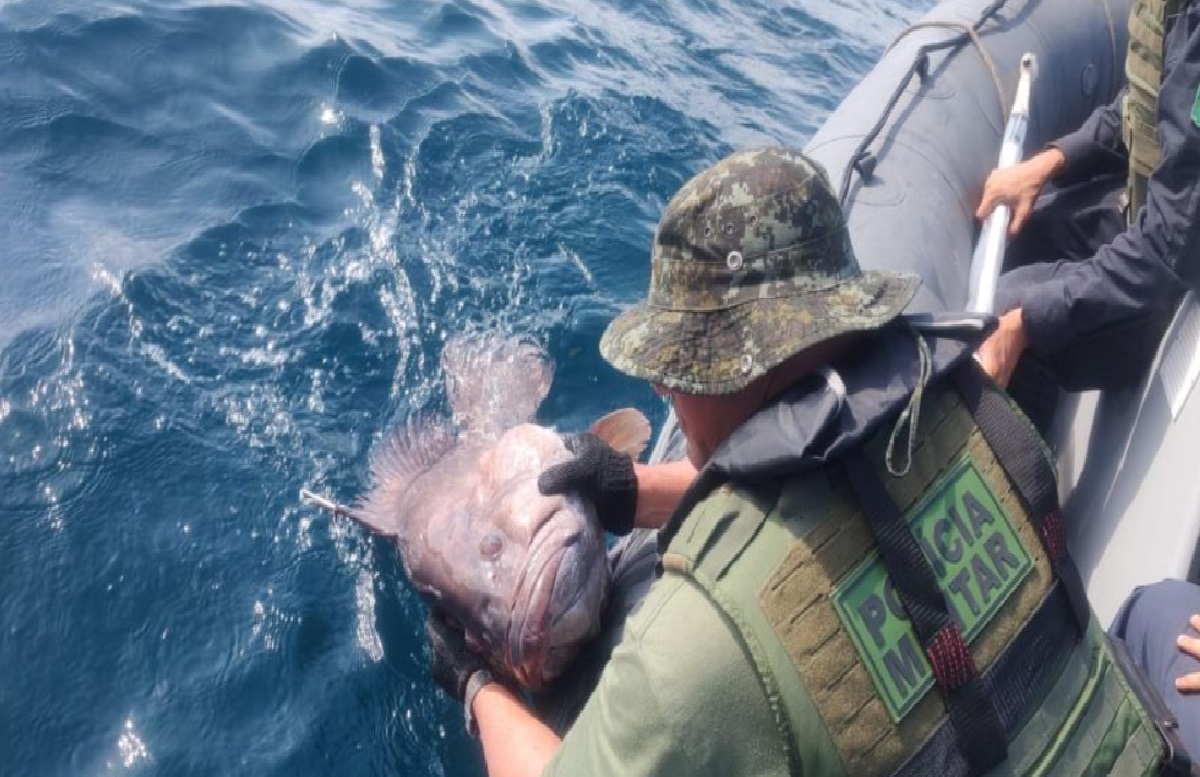 policia-ambiental-e-marinha-flagram-pesca-irregular-e-apreendem-mais-de-1-900kg-de-pescado-em-ilhabela-sp