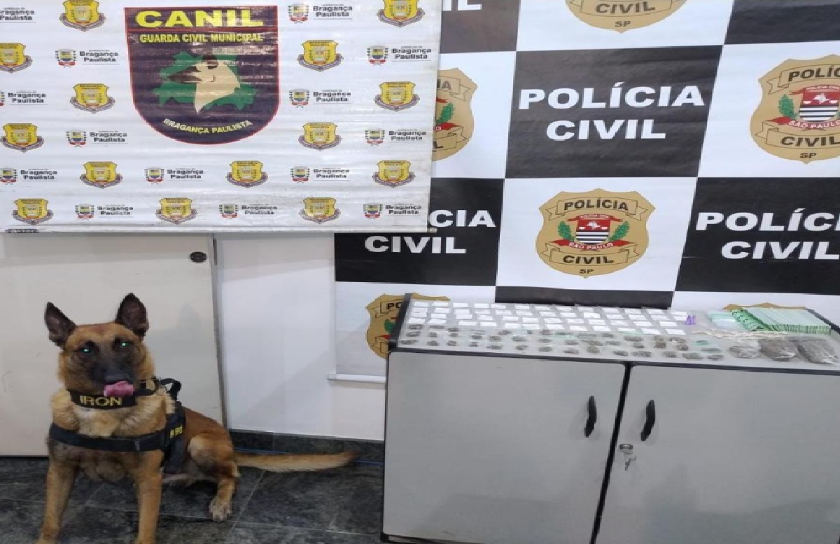 cao-da-guarda-civil-municipal-auxilia-na-apreensao-de-drogas-em-ubatuba