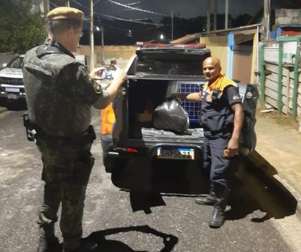 defesa-animal-investiga-morte-de-cadela-em-pindamonhangaba-por-maus-tratos