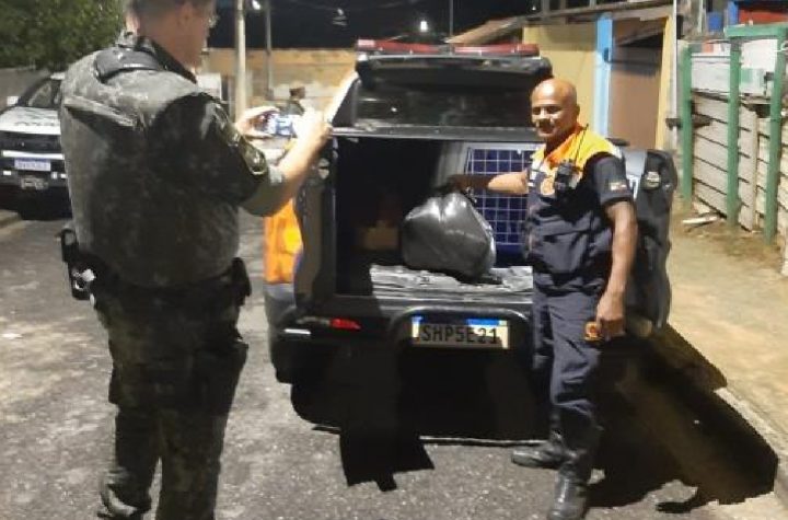 defesa-animal-investiga-morte-de-cadela-em-pindamonhangaba-por-maus-tratos