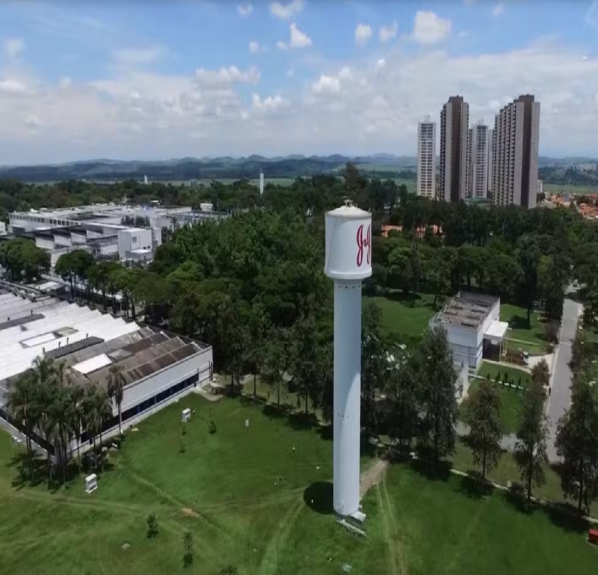 avistamento-de-felino-grande-no-campus-da-johnson-johnson-acende-alerta-de-seguranca