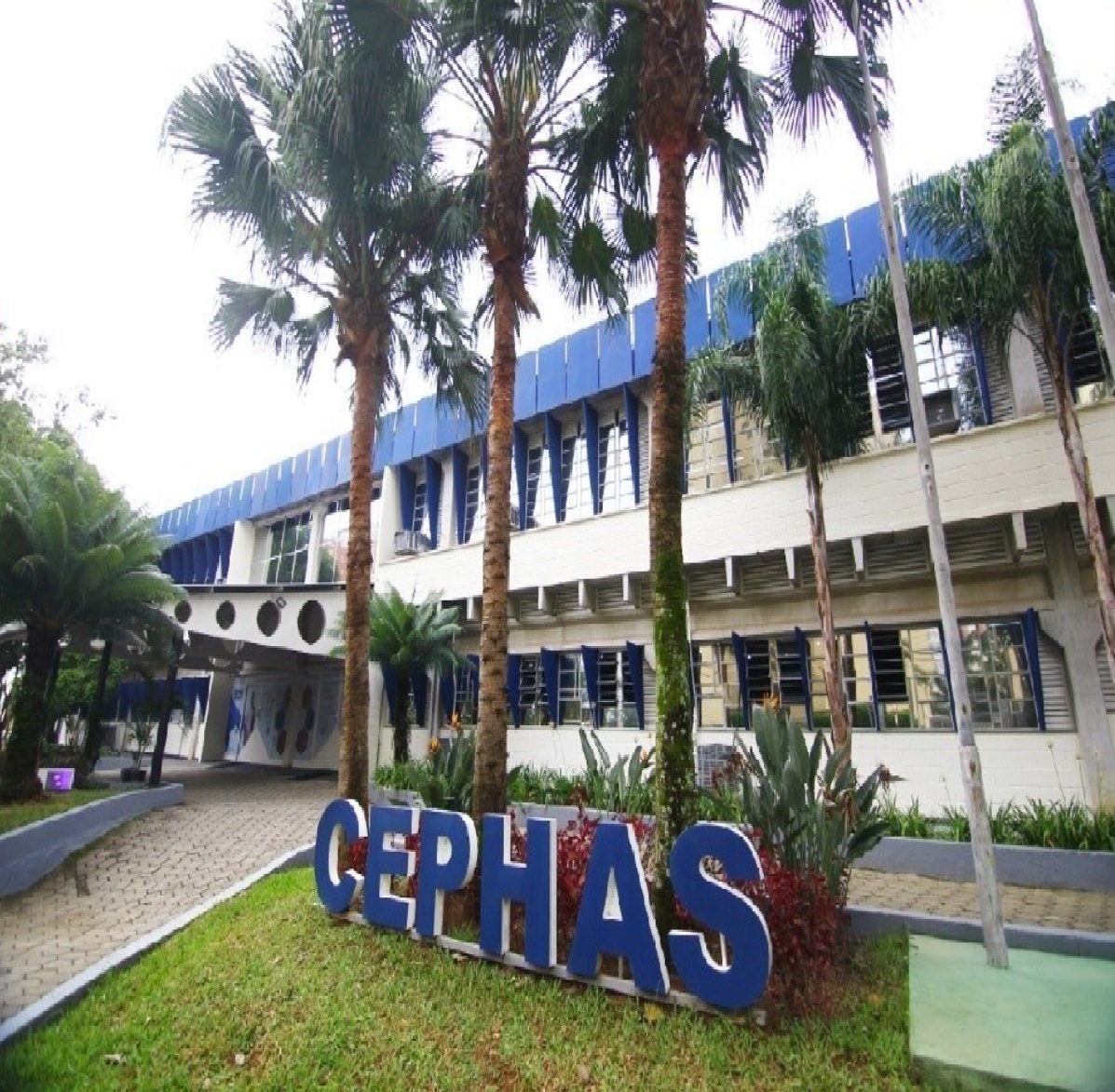 cephas-de-sao-jose-dos-campos-abre-inscricoes-para-vestibulinho-com-400-vagas