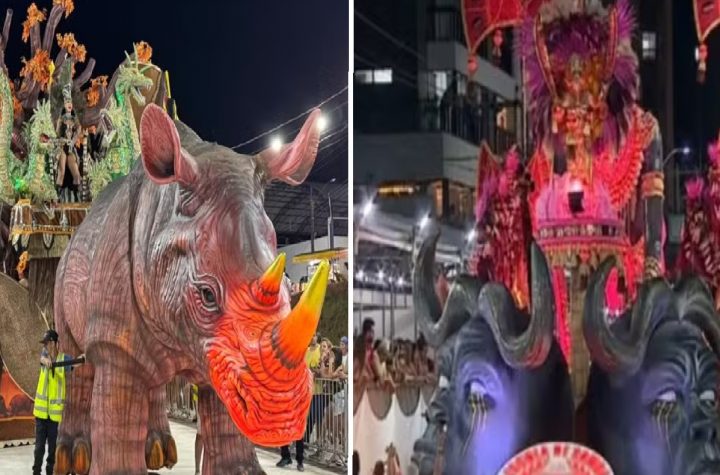 dragao-imperial-e-campea-do-carnaval-em-braganca-paulista-pela-11a-vez-e-embaixada-do-morro-conquista-titulo-em-guaratingueta