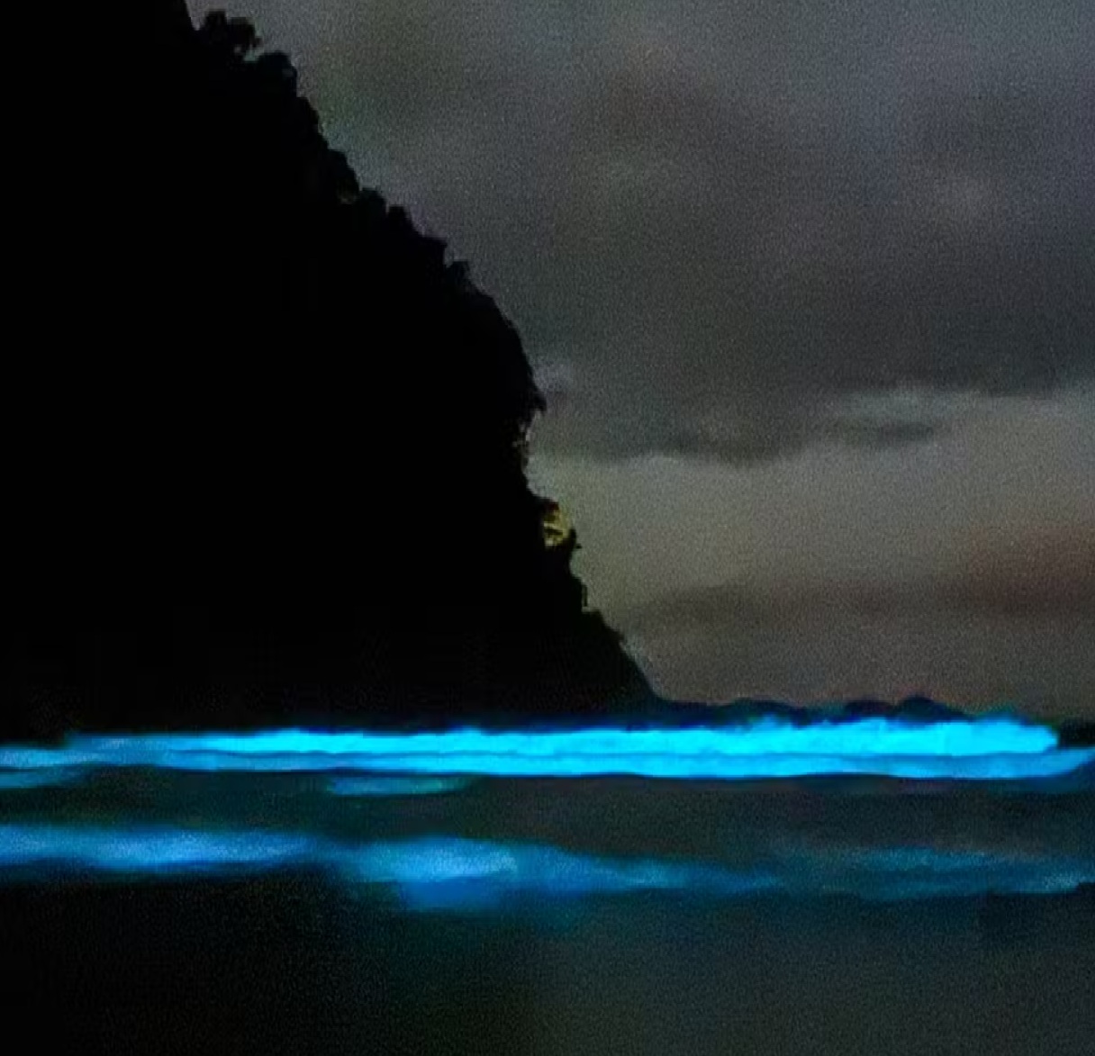 fenomeno-raro-deixa-mar-de-ubatuba-com-brilho-azul-fluorescente