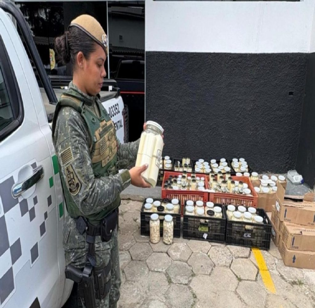 fiscalizacao-ambiental-no-litoral-norte-apreende-palmito-e-multa-responsaveis-em-r-168-mil