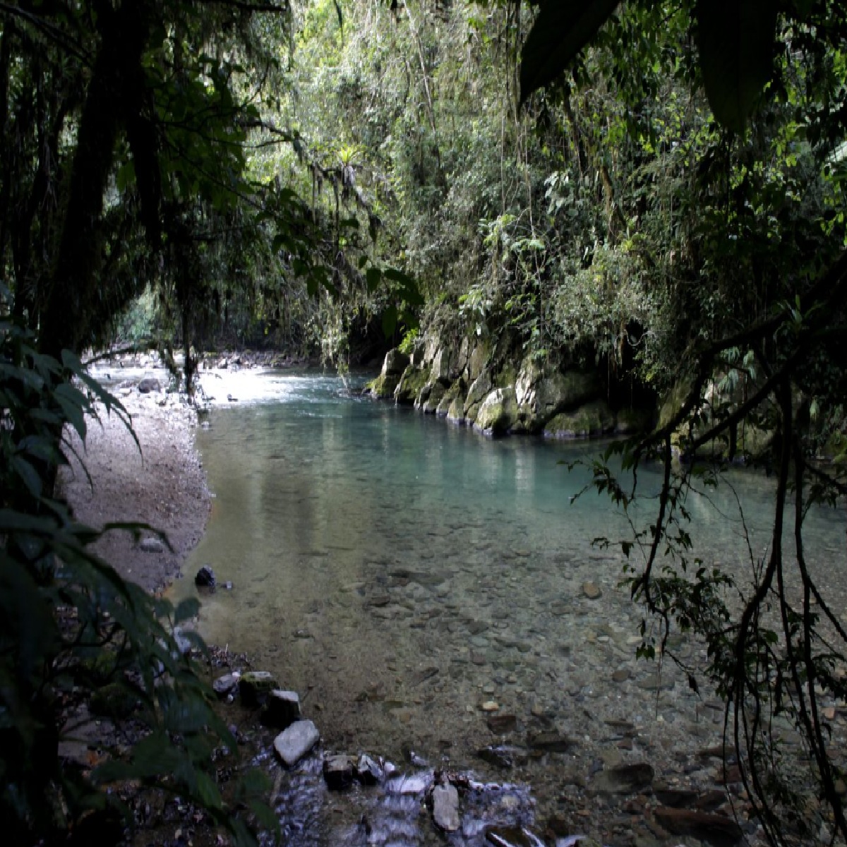 nao-gosta-de-badalacao-confira-dicas-de-curtir-o-carnaval-na-natureza