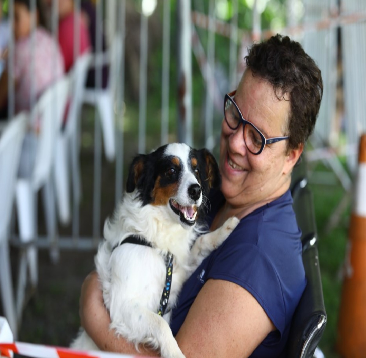 sao-jose-dos-campos-abre-1-000-vagas-para-castracao-e-microchipagem-gratuita-de-pets