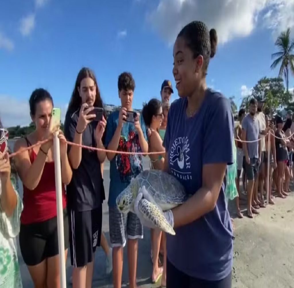 tartaruga-resgatada-com-anzois-e-devolvida-ao-mar-apos-dois-meses-de-tratamento-em-ubatuba