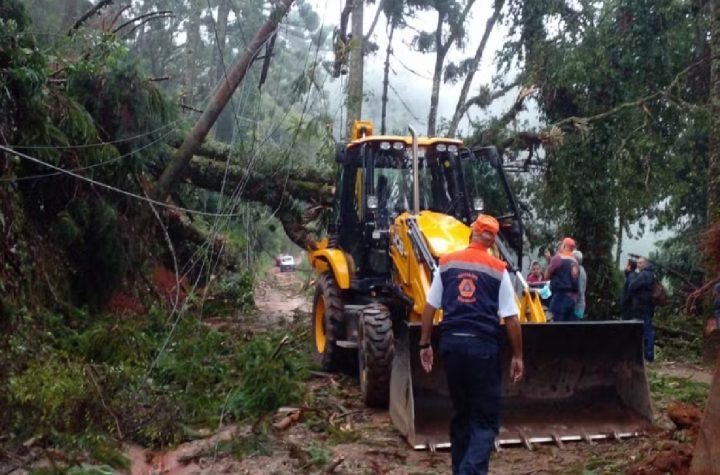 30-arvores-caem-e-10-carros-sao-atingidos-apos-tempestade-em-campos-do-jordao