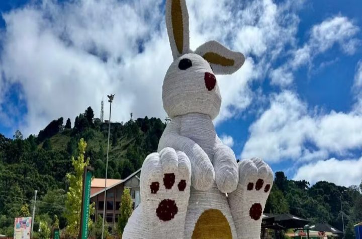 campos-do-jordao-espera-400-mil-turistas-na-pascoa-com-atracoes-tematicas