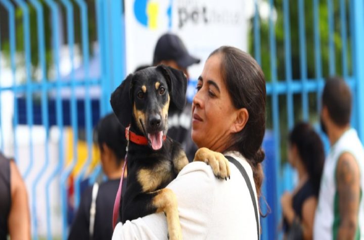 castramovel-atende-sao-francisco-xavier-neste-domingo-com-250-vagas-para-caes-e-gatos