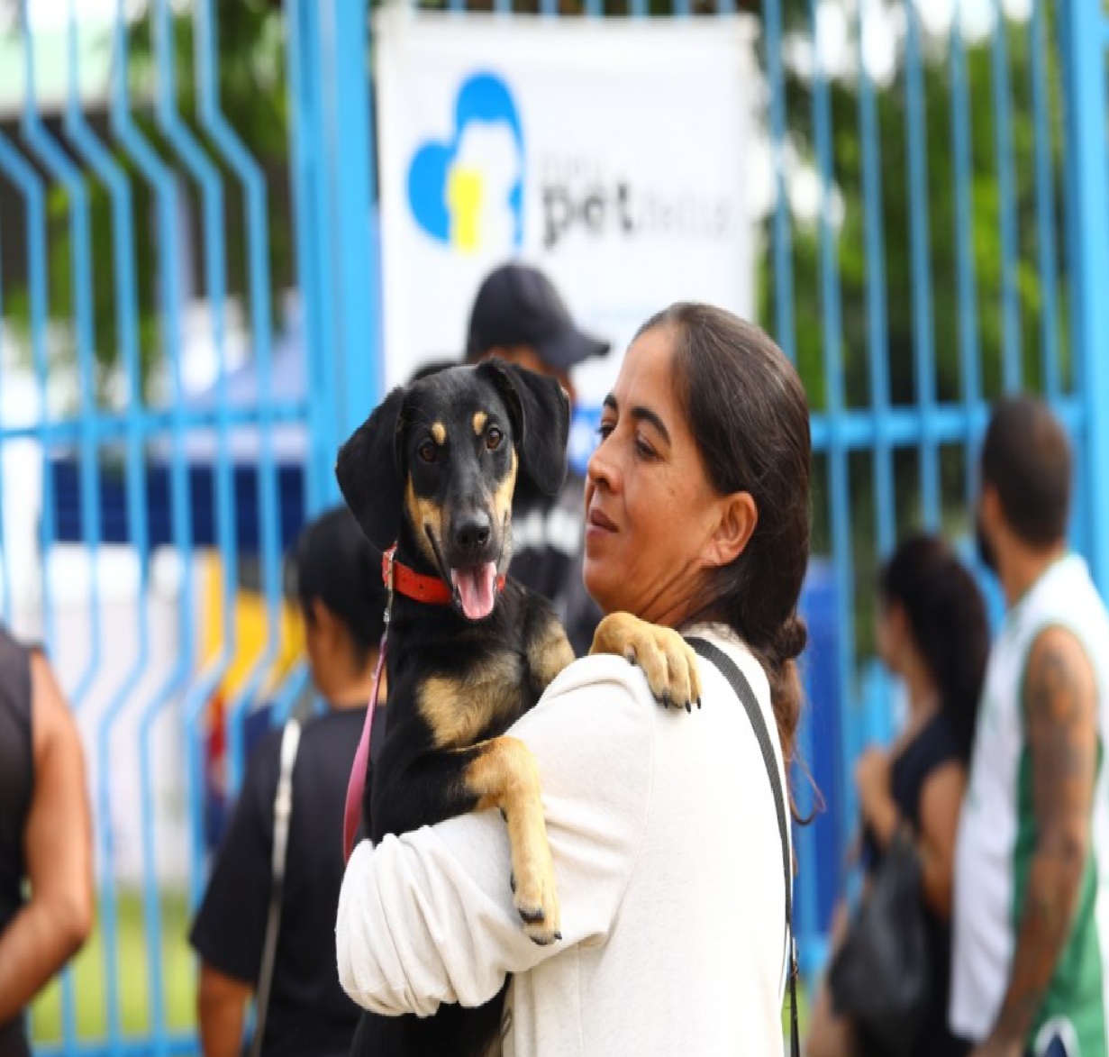 castramovel-atende-sao-francisco-xavier-neste-domingo-com-250-vagas-para-caes-e-gatos