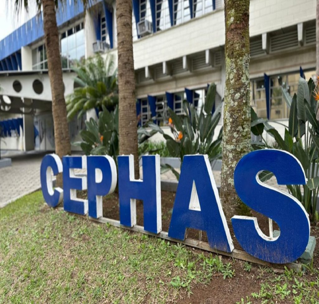 cephas-abre-mais-de-2-mil-vagas-para-cursos-gratuitos-a-distancia-em-sao-jose-dos-campos