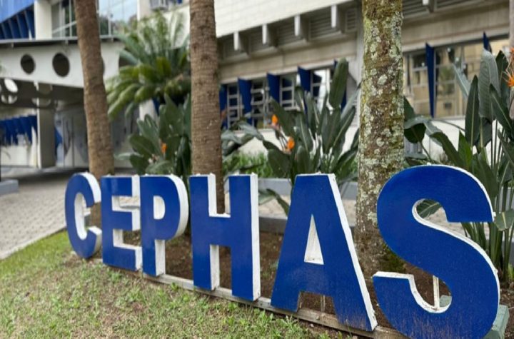 cephas-abre-mais-de-2-mil-vagas-para-cursos-gratuitos-a-distancia-em-sao-jose-dos-campos