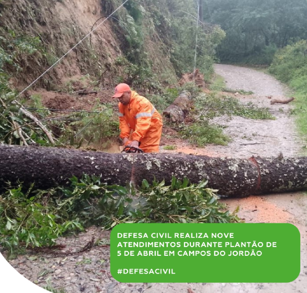 chuvas-causam-quedas-de-arvores-e-destelhamento-de-casa-em-campos-do-jordao