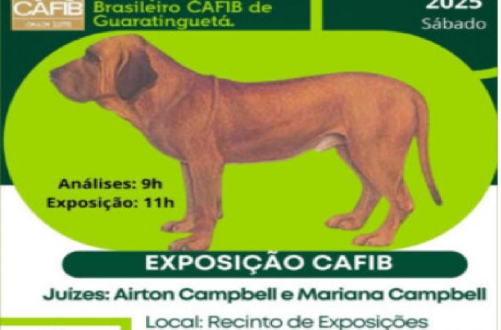 guaratingueta-sedia-37a-exposicao-nacional-do-fila-brasileiro-neste-sabado
