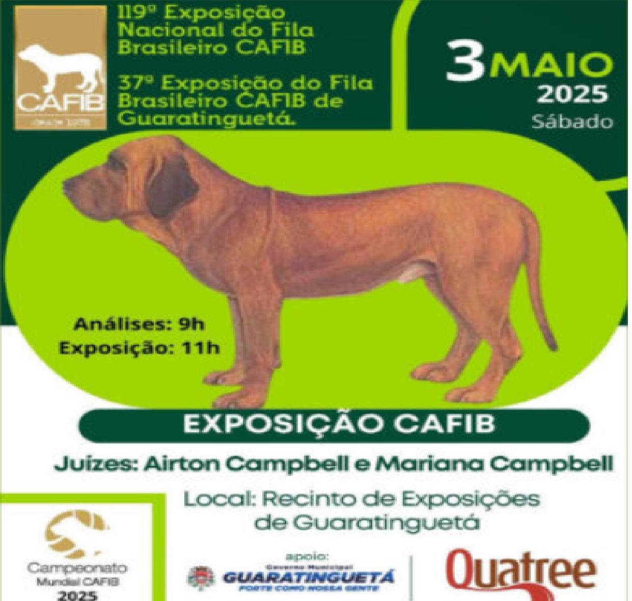 guaratingueta-sedia-37a-exposicao-nacional-do-fila-brasileiro-neste-sabado