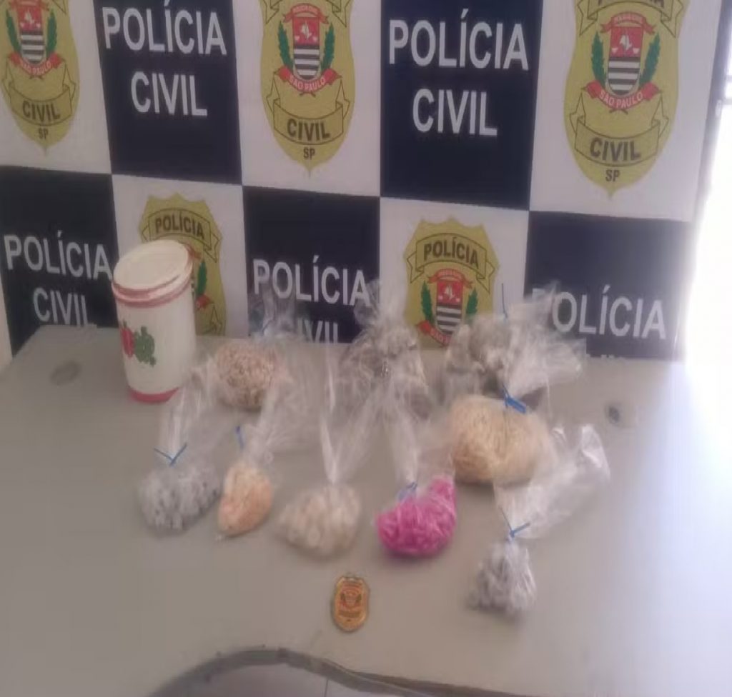 policia-prende-quatro-e-apreende-quase-3-kg-de-drogas-em-cachoeira-paulista