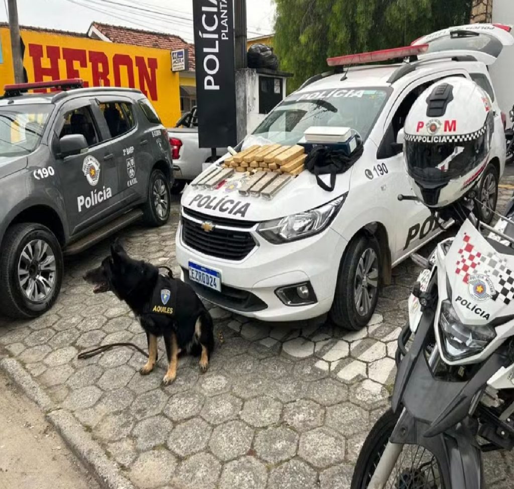 com-ajuda-de-caes-farejadores-pm-apreende-26-tijolos-de-maconha-em-guaratingueta