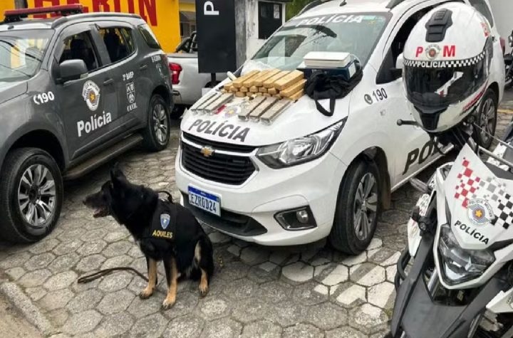 com-ajuda-de-caes-farejadores-pm-apreende-26-tijolos-de-maconha-em-guaratingueta