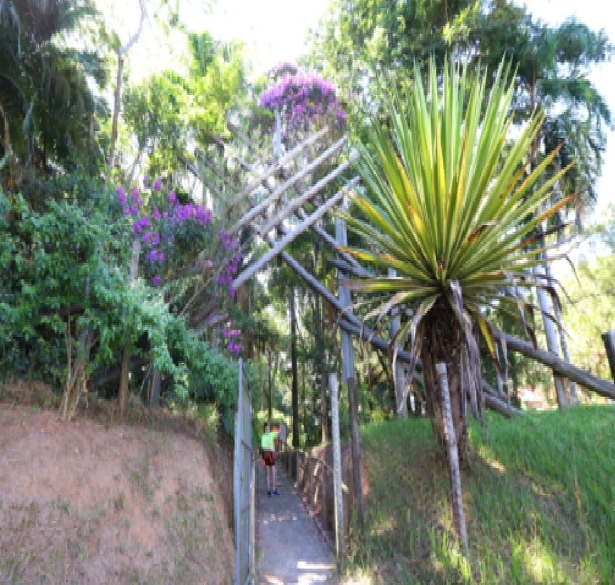 evento-viver-o-viveiro-em-jacarei-tera-trilhas-oficinas-e-atividades-educativas-neste-domingo-18