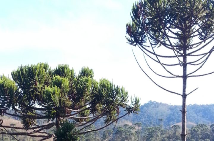 fim-de-semana-com-sol-e-temperaturas-agradaveis-no-vale-do-paraiba-litoral-norte-e-serra-da-mantiqueirafim-de-semana-com-sol-e-temperaturas-agradaveis-no-vale-do-paraiba-litoral-norte-e-serra-da-mant