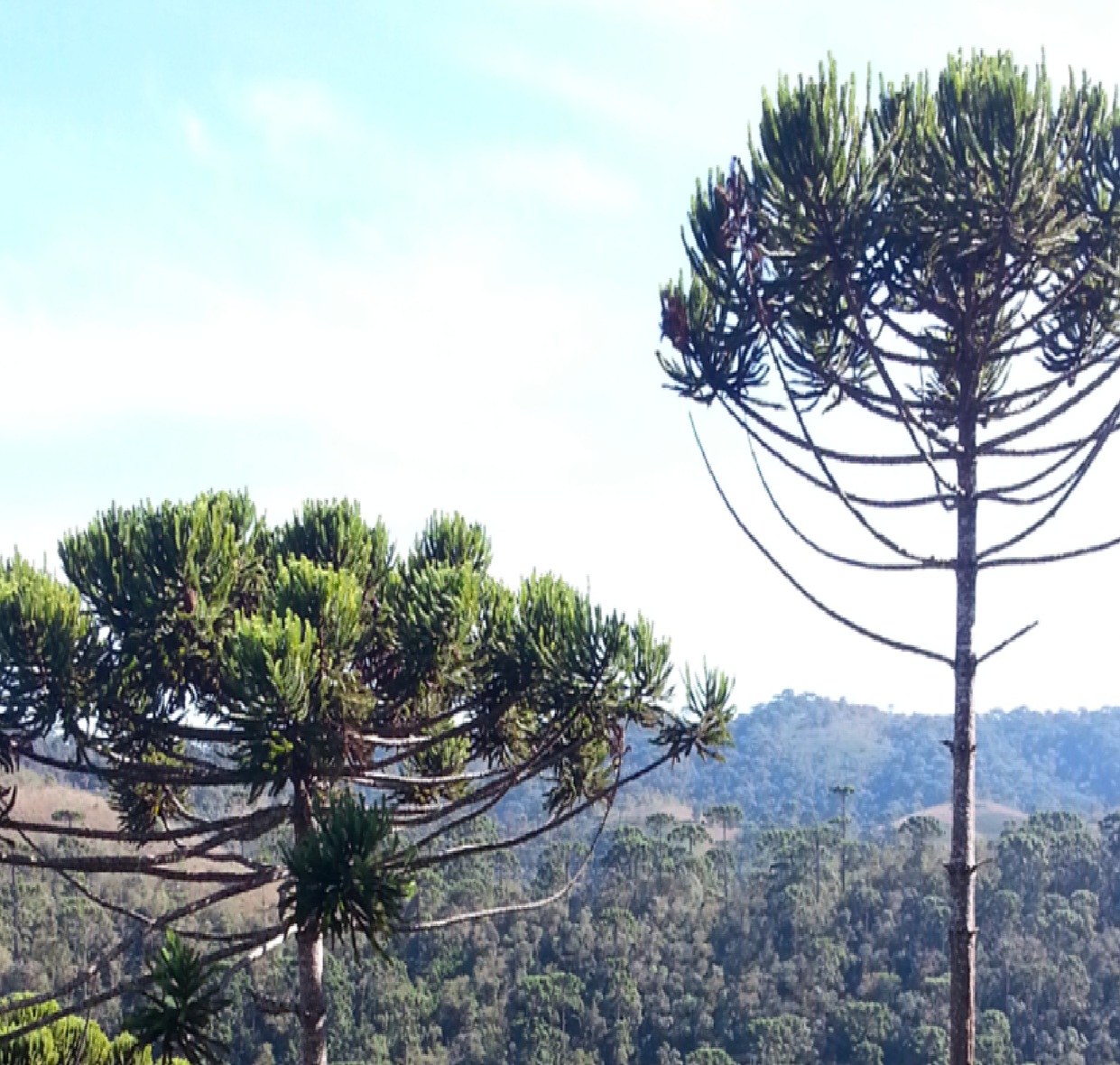 fim-de-semana-com-sol-e-temperaturas-agradaveis-no-vale-do-paraiba-litoral-norte-e-serra-da-mantiqueirafim-de-semana-com-sol-e-temperaturas-agradaveis-no-vale-do-paraiba-litoral-norte-e-serra-da-mant