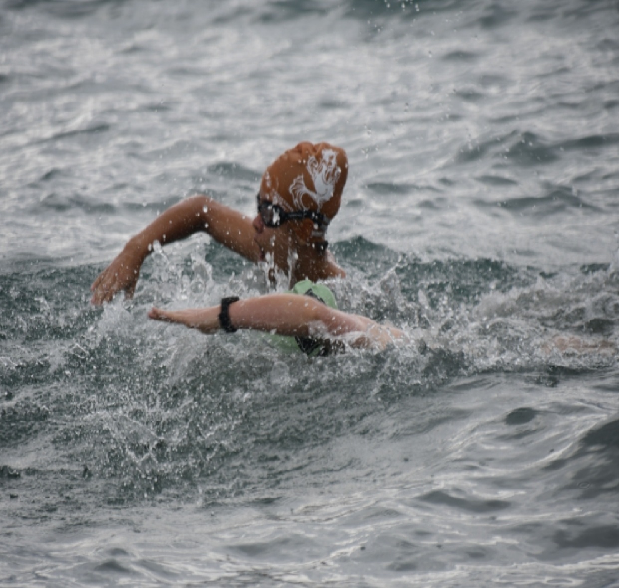 ilhabela-sera-o-palco-da-v-etapa-do-circuito-paulista-de-aguas-abertas-neste-domingo