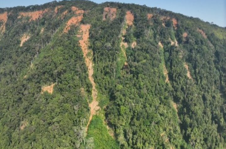 projeto-restaura-litoral-recupera-encostas-em-sao-sebastiao-com-uso-de-drones-e-tecnologia-sustentavel