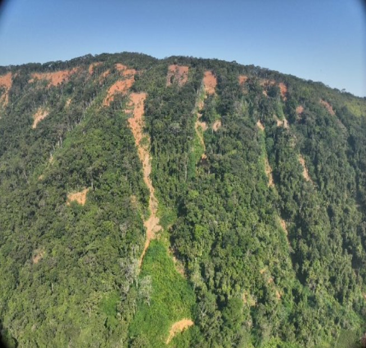 projeto-restaura-litoral-recupera-encostas-em-sao-sebastiao-com-uso-de-drones-e-tecnologia-sustentavel