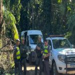 acao-remove-obra-irregular-em-regiao-de-protecao-ambiental-em-sao-sebastiao
