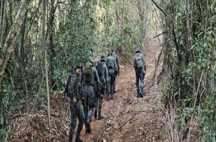 cacadores-sao-flagrados-com-armas-e-armadilhas-em-area-protegida-de-caraguatatuba