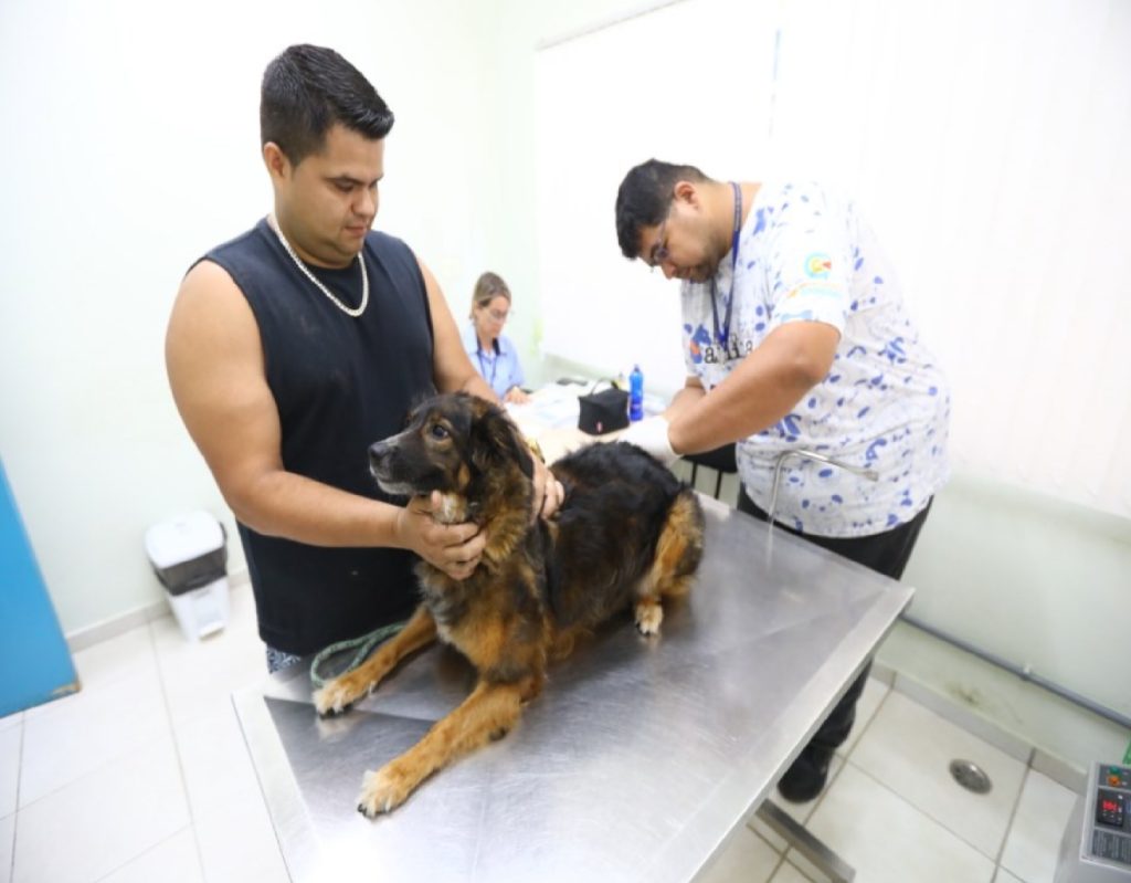 ccz-de-sao-jose-promove-feira-de-adocao-e-vacinacao-gratuita-de-pets-neste-sabado-28