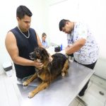 ccz-de-sao-jose-promove-feira-de-adocao-e-vacinacao-gratuita-de-pets-neste-sabado-28