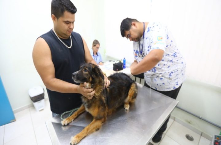 ccz-de-sao-jose-promove-feira-de-adocao-e-vacinacao-gratuita-de-pets-neste-sabado-28