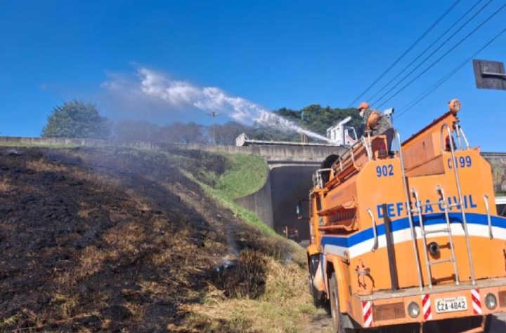 defesa-civil-de-taubate-controla-incendio-as-margens-da-dutra