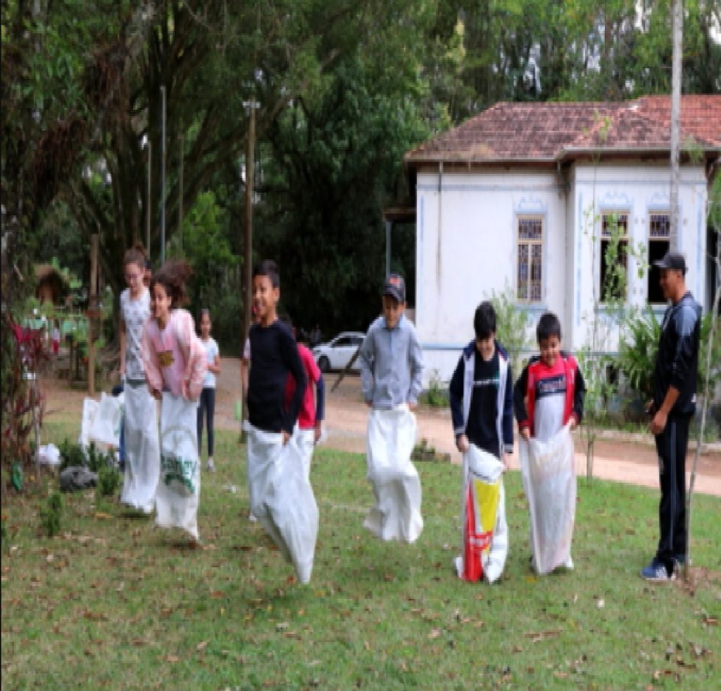 domingo-tem-programacao-gratuita-com-trilhas-e-oficina-sustentavel-no-viveiro-de-jacarei