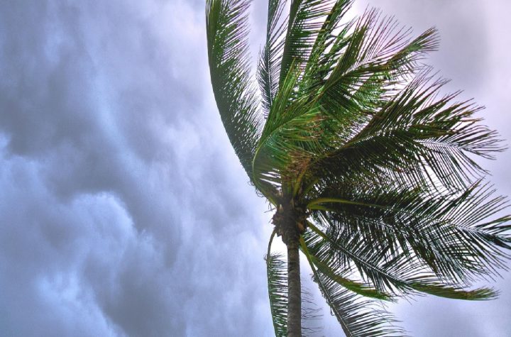 frio-intenso-e-ventos-costeiros-inmet-emite-tres-alertas-para-o-vale-do-paraiba-litoral-norte-e-serra-da-mantiqueira