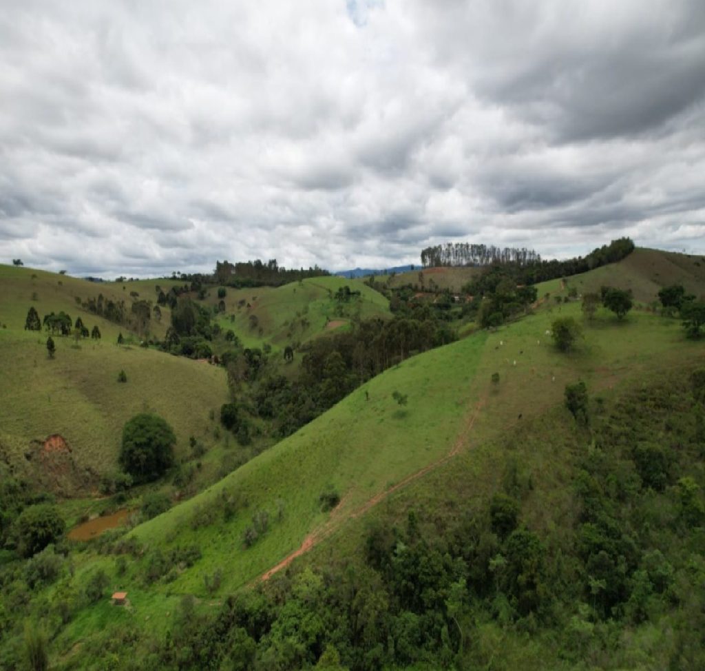 governo-de-sp-restaura-1-300-hectares-no-vale-do-paraiba-e-gera-renda-para-produtores-rurais