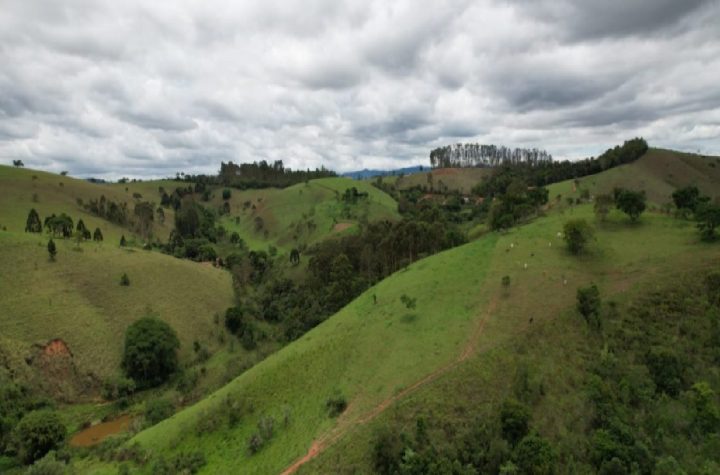 governo-de-sp-restaura-1-300-hectares-no-vale-do-paraiba-e-gera-renda-para-produtores-rurais