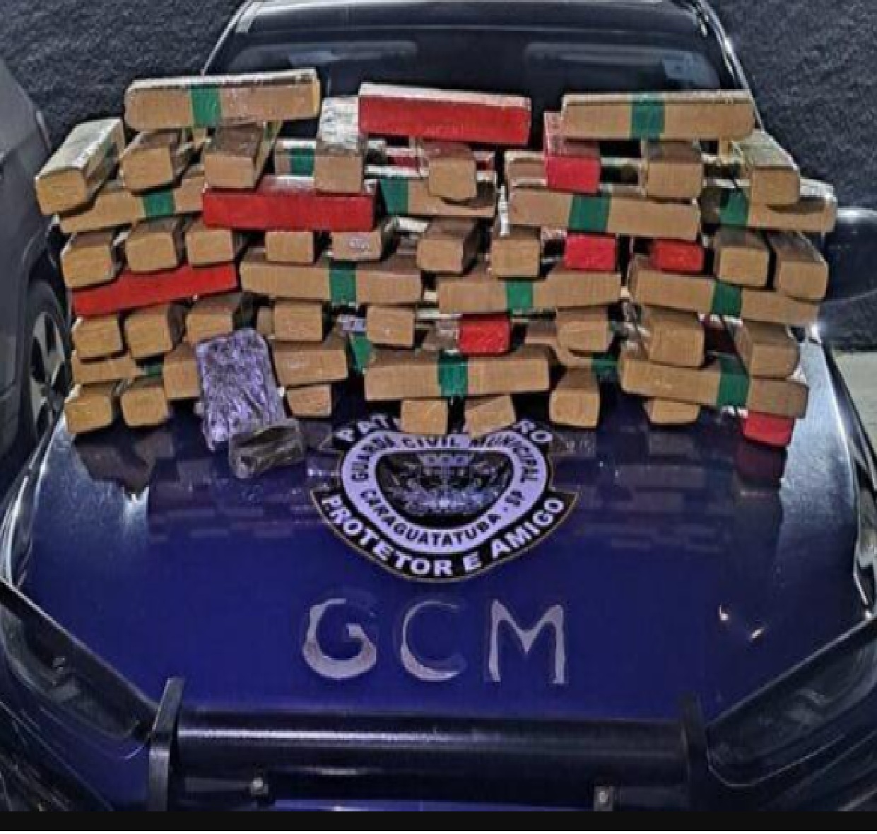 mais-de-63-kg-de-drogas-sao-apreendidos-na-rodovia-dos-tamoios