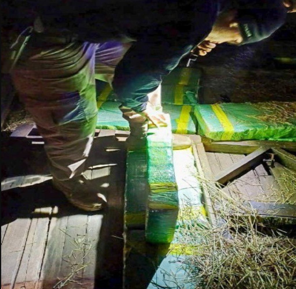 prf-apreende-415-kg-de-maconha-escondidos-em-carga-de-feno-na-br-116-em-lavrinhas-sp