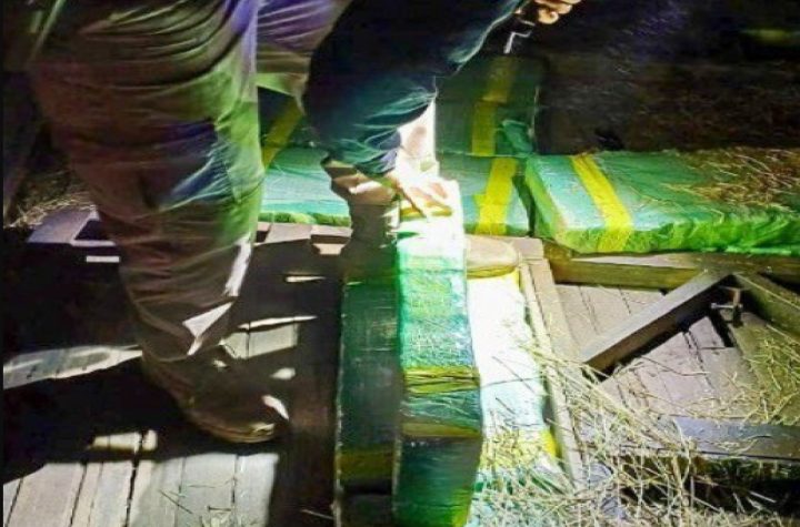 prf-apreende-415-kg-de-maconha-escondidos-em-carga-de-feno-na-br-116-em-lavrinhas-sp